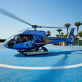 Pearl – 12-Minute Skyline Adventure in Dubai