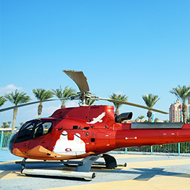 Fun Flight – 15-Minute City Aerial Tour